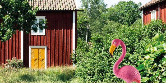 Flamingo i trädgård.